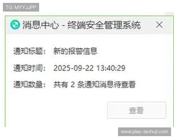下载pa电子电脑版软件的最佳途径与安全保障措施全解析